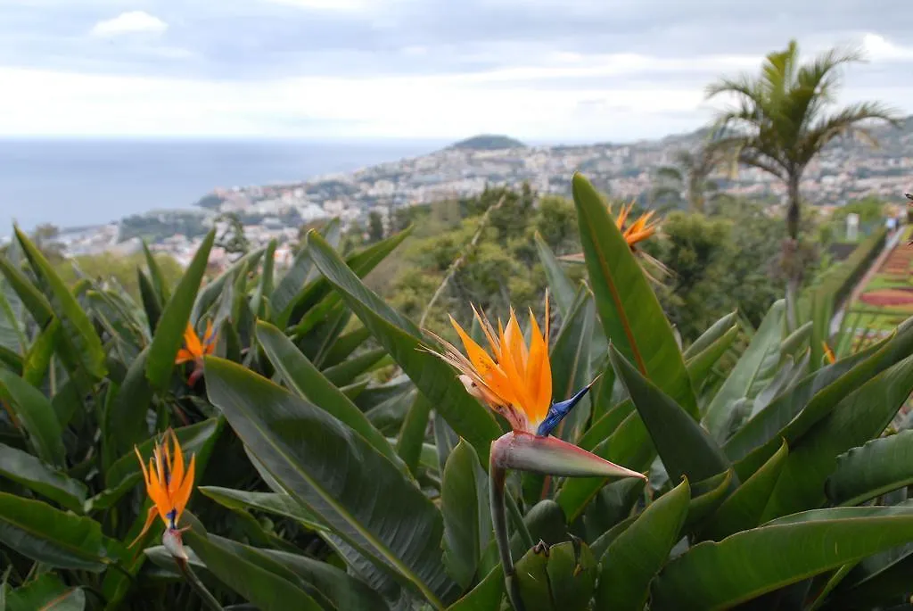 ****  Hotel Pico Da Urze - Paul Da Serra Calheta  Portugal