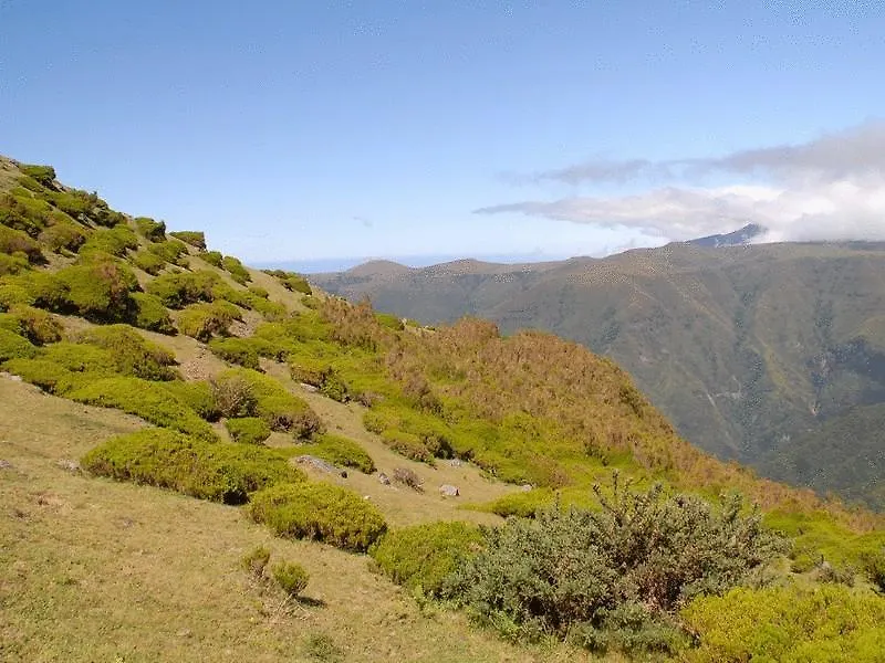 Hotel Pico Da Urze - Paul Da Serra Calheta